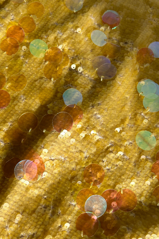 Low Rise Paillette Skirt